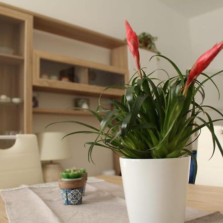 Ohana: Casa Nel Centro Di Lecce Dış mekan fotoğraf
