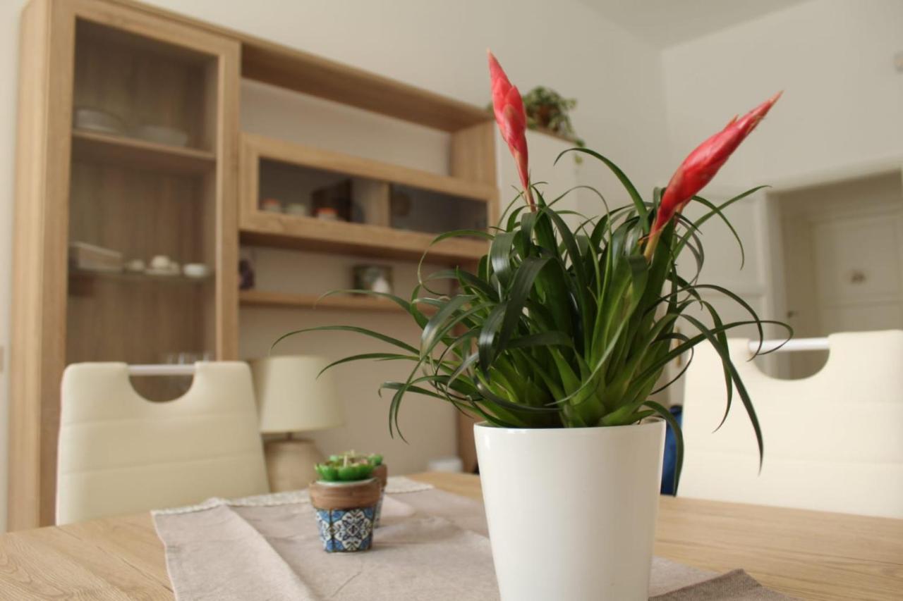 Ohana: Casa Nel Centro Di Lecce Dış mekan fotoğraf